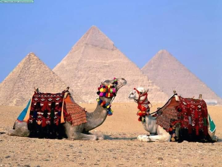 Mena Inn Pyramids Giza Exterior foto